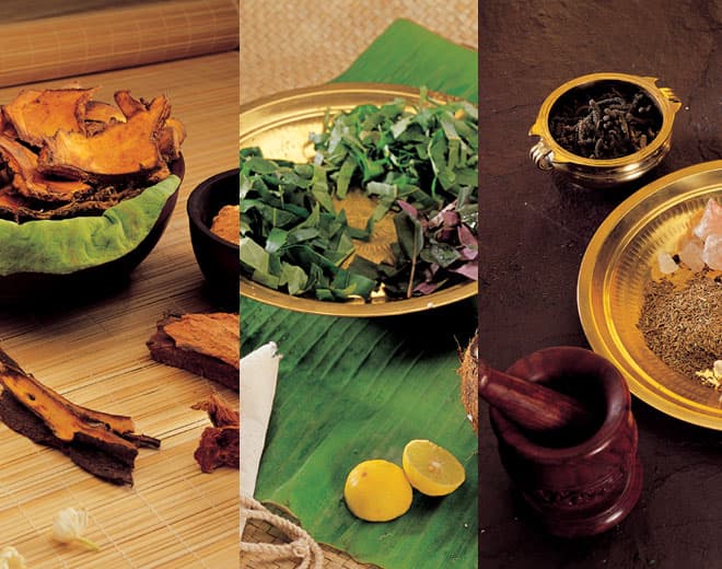 Understanding Your Dosha: Vata, Pitta, Kapha